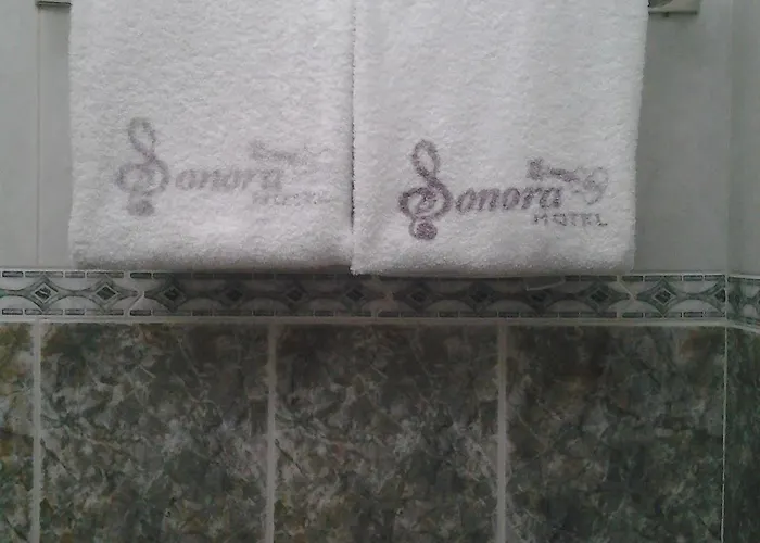 Hotel Sonora, Centro Historico Hotel 2*