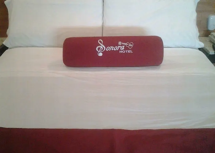 Hotel Sonora, Centro Historico Hotel 2*